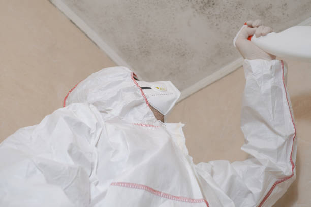 Best Mold Testing  in Arrowhead Beach, NC