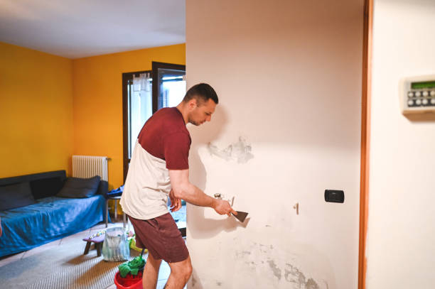 Best Local Mold Removal Service  in Arrowhead Beach, NC